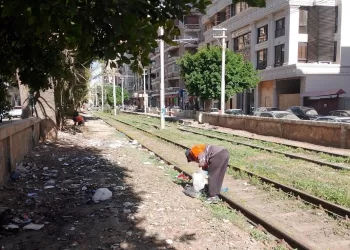 محافظ الإسكندرية يقود حملة مكبرة لاسترداد أراضي الدولة وإزالة التعديات في 6 أحياء