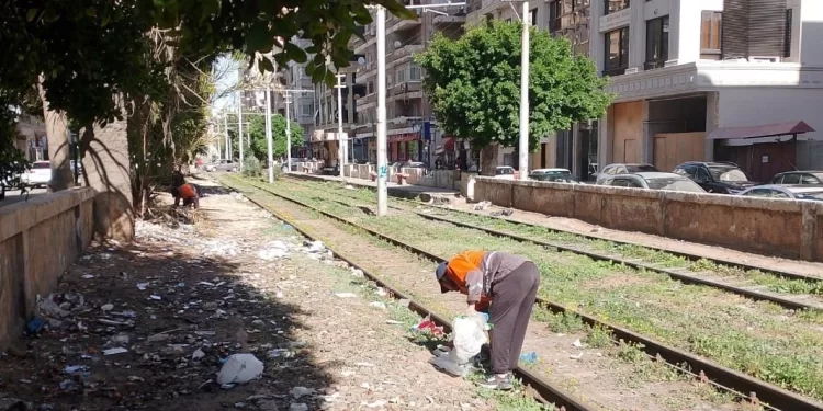 محافظ الإسكندرية يقود حملة مكبرة لاسترداد أراضي الدولة وإزالة التعديات في 6 أحياء