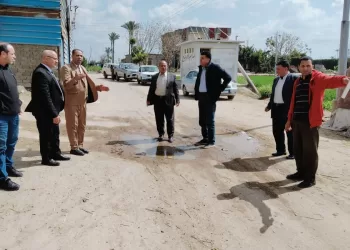 حملة مكبرة لإزالة التعديات على الأراضي الزراعية بـ«أبو النمرس»