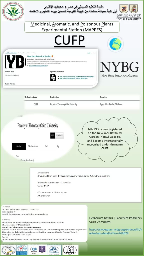 WhatsApp Image 2026 03 12 at 2.28.36 PM - جريدة الجمهورية