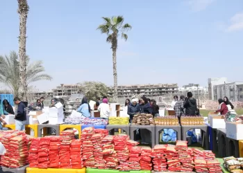 طلاب النيل يشاركون في تعبئة «كراتين مواد غذائية» لدعم الأسر الأولى بالرعاية
