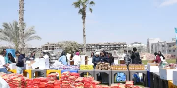 طلاب النيل يشاركون في تعبئة «كراتين مواد غذائية» لدعم الأسر الأولى بالرعاية