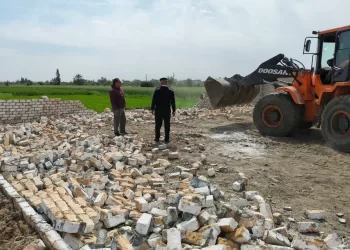 اتحاد شباب العمال يُطلق مبادرة «وعي وبناء».. استجابةً لتكليفات الرئيس السيسي