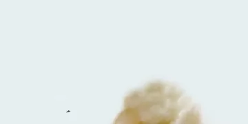 «الأحمر» يعبر الاتحاد.. والزمالك يستعيد التوازن 