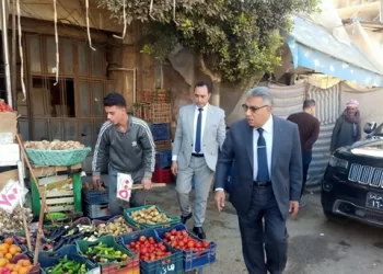 محافظ الدقهلية يقود حملة مكبرة لرفع الإشغالات