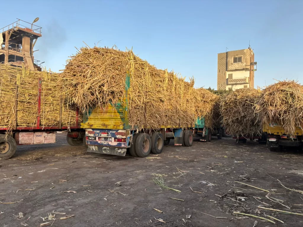 WhatsApp Image 2026 03 21 at 11.24.58 AM - جريدة الجمهورية