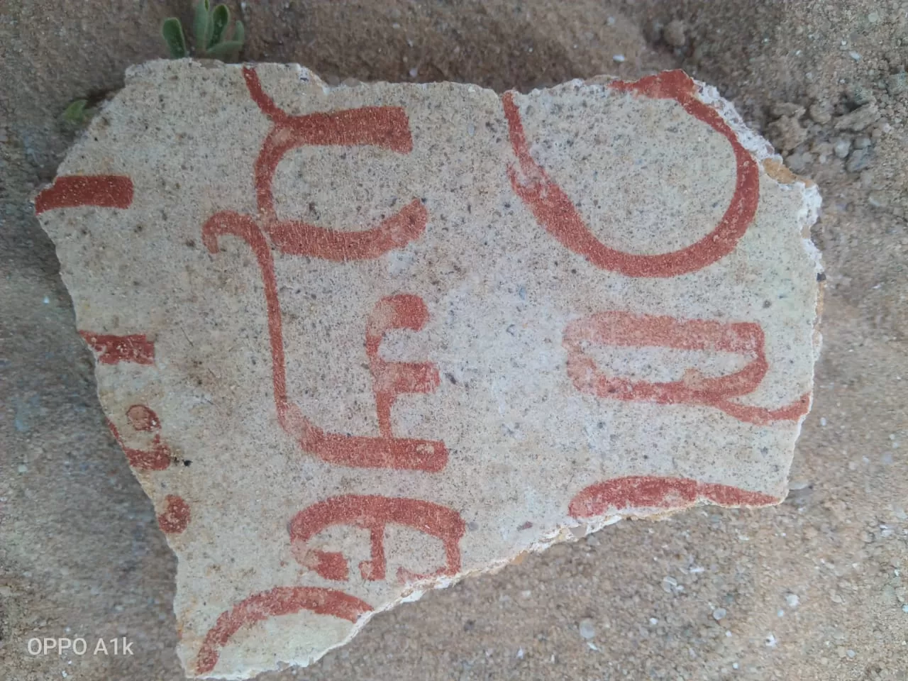 WhatsApp Image 2026 03 23 at 1.26.17 PM 7 - جريدة الجمهورية