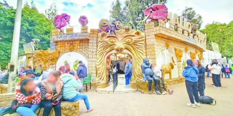 منتخب الناشئين يستعدلتصفيات شمال إفريقيا