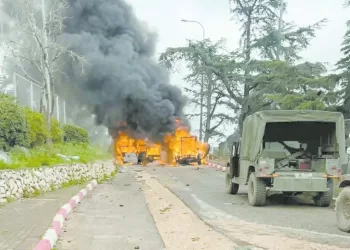 الكرواتى على «كف عفريت»