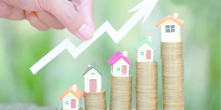 الكرواتى على «كف عفريت»