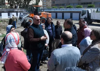 مسودة تلقائية