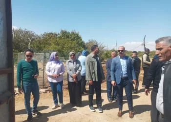 إزالة فورية لـ 3 حالات تعدٍ على الأراضي الزراعية بحي فيصل في السويس