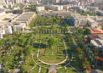 للمرة السابعة.. جامعة المنصورة تتربع على عرش «محو الأمية» بالجامعات المصرية 2 - جريدة الجمهورية حبس موظف «مفصول» ذبح زوجته بالإسكندرية بسبب خلافات أسرية