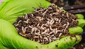 WhatsApp Image 2026 03 25 at 7.42.20 PM 1 - جريدة الجمهورية