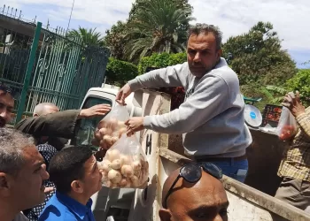 تطبيقًا لتوجيهات رئيس الوزراء.. «نقابة تجميل الجيزة» توفر الخضراوات للعاملين بأسعار الجملة