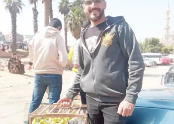 نار فى «الجزيرة» بسبب قرارات «توروب»..   ومطالب بتعديل اللائحة