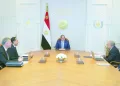 الرئيس السيسى يوجه بتأمين إمدادات الغاز اللازمة لقطاع الكهرباء 
