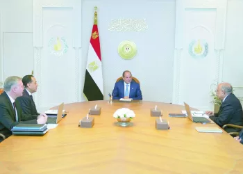 الرئيس السيسى يوجه بتأمين إمدادات الغاز اللازمة لقطاع الكهرباء 