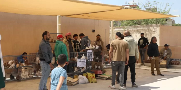 محافظ القاهرة: انتهاء إقامة سوق الحمام الجديد بالسيدة عائشة ونقل الباعة إليه 1 - جريدة الجمهورية محافظ القاهرة: انتهاء إقامة سوق الحمام الجديد بالسيدة عائشة ونقل الباعة إليه
