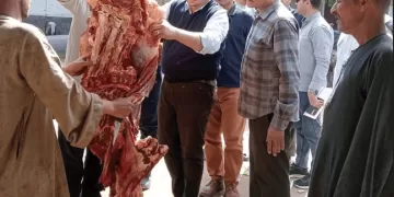 محافظة المنيا: حملات رقابية موسعة تضبط لحومًا فاسدة قبل بيعها