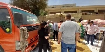 محافظ أسيوط يعلن بدء موسم حصاد القمح 2026.. وتوريد 387 طناً في اليوم الأول
