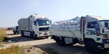 توريد أكثر من ثلاثة آلاف طن من محصول القمح لصوامع كفر الشيخ