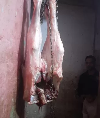 1 16 - جريدة الجمهورية