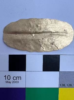 1 95 - جريدة الجمهورية