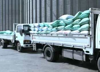«البحيرة» تُورّد 1748 طناً من القمح المحلي منذ انطلاق الموسم وحتى منتصف اليوم