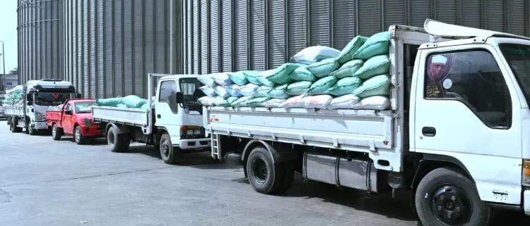 «البحيرة» تُورّد 1748 طناً من القمح المحلي منذ انطلاق الموسم وحتى منتصف اليوم