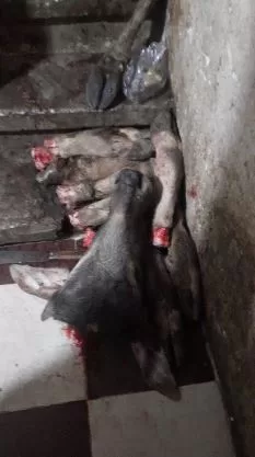 2 13 - جريدة الجمهورية