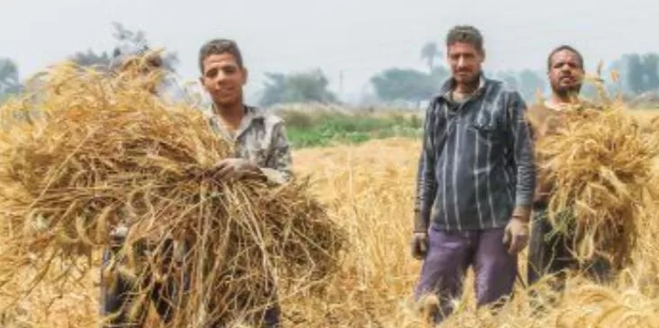 2 67 - جريدة الجمهورية