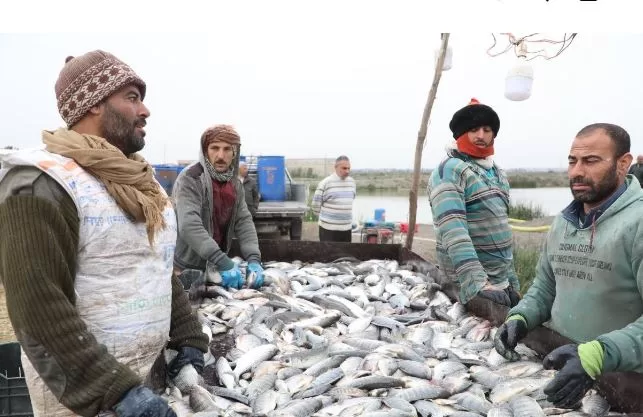 2 8 - جريدة الجمهورية