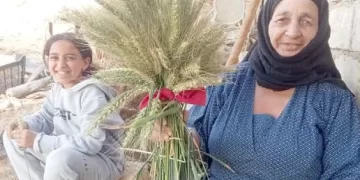 شم النسيم فى الصعيد.. ملانة وفطير   وطرد الشياطين بالبصل واستحمام بنبات الرعريع 