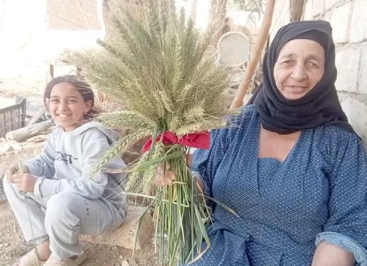 شم النسيم فى الصعيد.. ملانة وفطير وطرد الشياطين بالبصل واستحمام بنبات الرعريع 1 - جريدة الجمهورية شم النسيم فى الصعيد.. ملانة وفطير وطرد الشياطين بالبصل واستحمام بنبات الرعريع