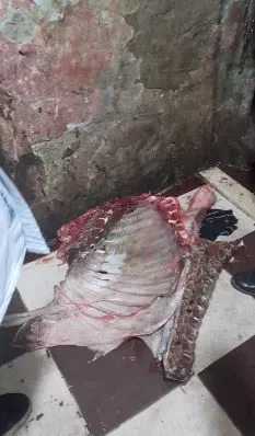 3 10 - جريدة الجمهورية