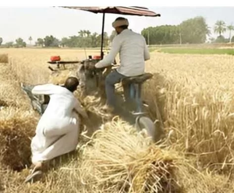 3 54 - جريدة الجمهورية