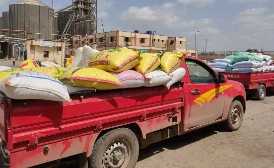 3 79 - جريدة الجمهورية