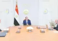 توسع مدروس فى الطاقة الجديدة والمتجددة
