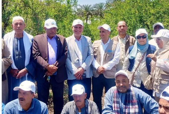 محافظ أسيوط: التوسع في «الري الحديث» ركيزة أساسية لزيادة إنتاجية «الرمان» والحفاظ على الموارد المائية