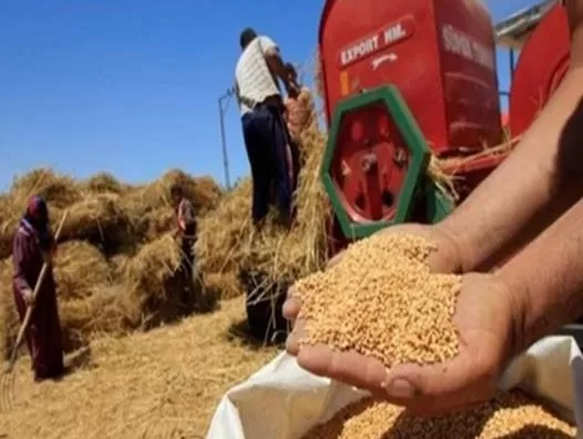 4 44 - جريدة الجمهورية