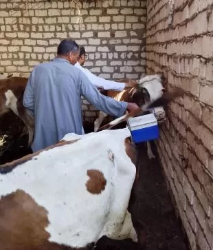 4 86 - جريدة الجمهورية