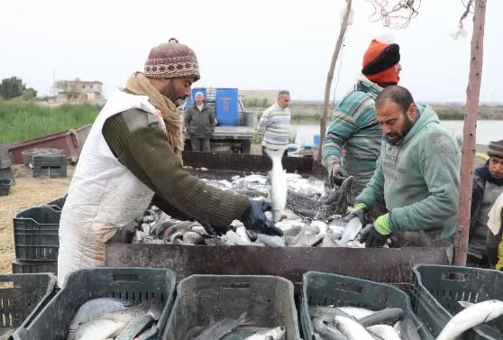 5 5 - جريدة الجمهورية