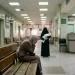 جريمة داخل مستشفى «الحسين».. منتقبة تخطف رضيعة من أمها بعد ساعات من ولادتها