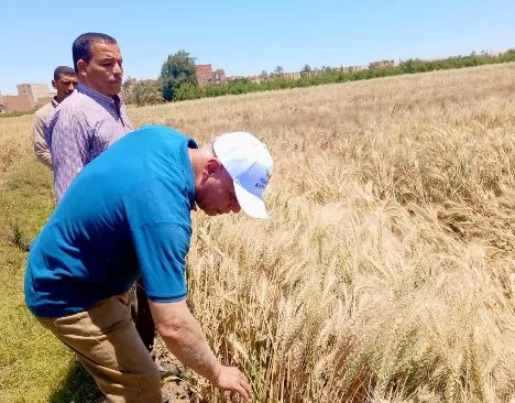 7 17 - جريدة الجمهورية