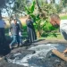 محافظ أسيوط يوجه بتكثيف حملات إزالة «مكامير الفحم» المخالفة للحفاظ على البيئة وصحة المواطنين