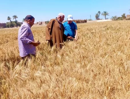 8 15 - جريدة الجمهورية