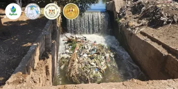 ضمن برنامج تنمية الصعيد.. «صافية» تُغير وجه قرية «أبوكساه» بالفيوم