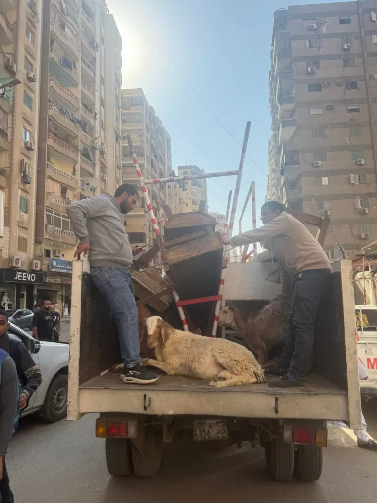 WhatsApp Image 2026 04 22 at 7.50.16 PM - جريدة الجمهورية