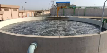 بني سويف تستضيف حوارًا موسعًا لدعم التحول نحو الطاقة المتجددة